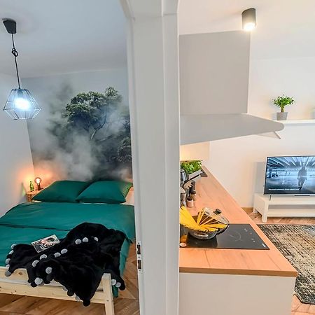 לז'נו Apartamenty Swietokrzyska מראה חיצוני תמונה