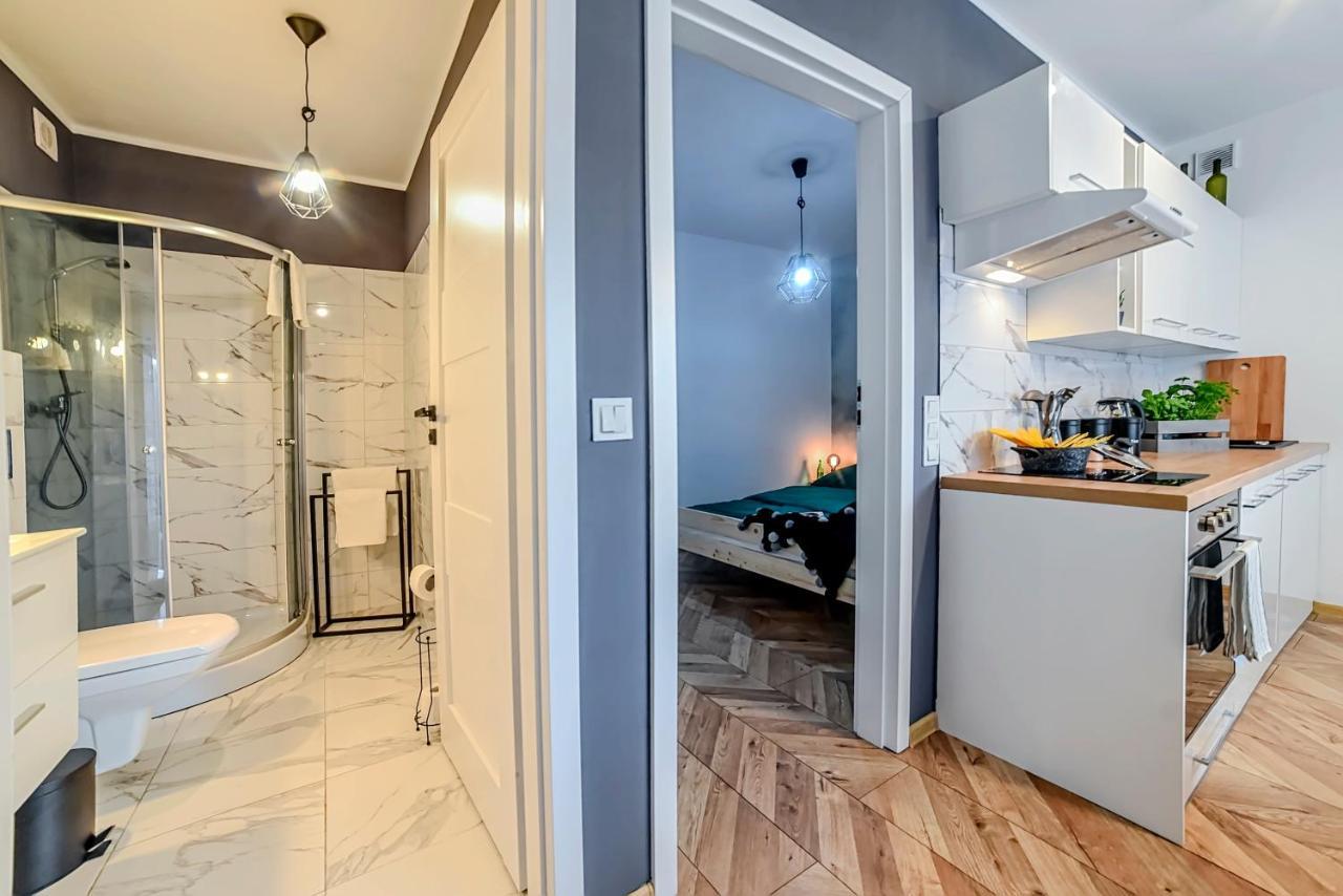 לז'נו Apartamenty Swietokrzyska מראה חיצוני תמונה